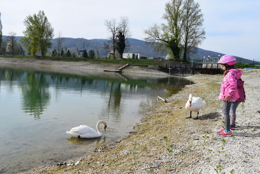 Borovnica Catez Apartment Catez ob Savi Bagian luar foto