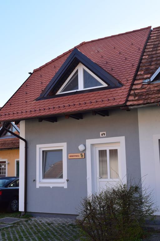 Borovnica Catez Apartment Catez ob Savi Bagian luar foto
